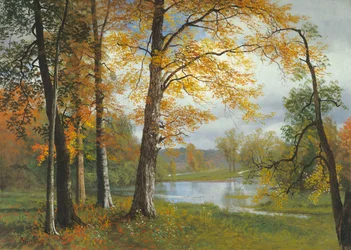 Hiljainen järvi