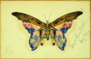 Perhonen (guassi paperille)