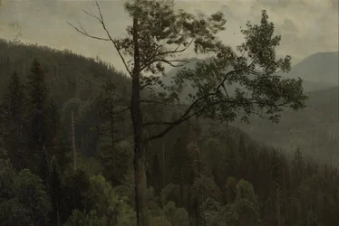 Puiden peittämät vuoret