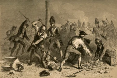 Liberty Polen puolustaminen New Yorkissa, 1877.