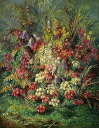 Kellokukkia, tuhkaruohoa, gorsea ja perhosia. Albert Durer Lucasin (1828-1918) maalaus.