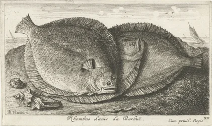 Kolme poikasta rannalla Rhombus Laeuis La Barbuë (otsikko esineessä) Kalat ja muut meren eläimet – Saltwater Third Series (sarjan nimi) Poissons de mer (sarjan nimi)