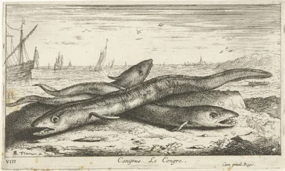 Kolme meriankeriasta rannalla Kongressi Le Congress. (otsikko esineessä) Kalat ja muut meren eläimet - suolaisen veden ensimmäinen sarja (sarjan nimi) Diverse Especes de Poissons de mer (sarjan nimi)