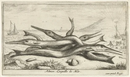 Nokkakalaa rannalla Admos. Lesguille de Mer. (otsikko kohteen päällä) Kalat ja muut meren eläimet – Saltwater Third Series (sarjan nimi) Poissons de mer (sarjan nimi)