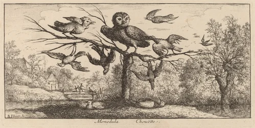 Monedula, el mussol finlandès