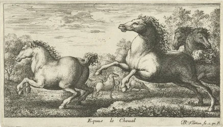 Hevoset Equus le Cheval (otsikko esineessä) Eri eläinlajit (sarjan nimi)