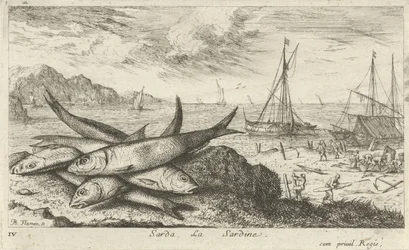 Sardiinit rannalla Sarda, La Sardine. (otsikko esineessä) Kalat ja muut meren eläimet - suolaisen veden ensimmäinen sarja (sarjan nimi) Diverse Especes de Poissons de mer (sarjan nimi)