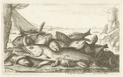 Erakkoravun kalastus Eri kalalajit (sarjan nimi) Diverse Especes De Poissons tant de Mer, que d