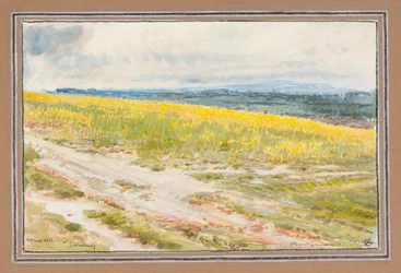 Värihavainto nr Salisbury (akvarelli)