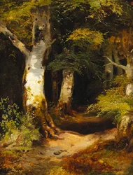 Metsäautotie