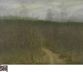 Sint-Martens-Latemissa sijaitseva metsäalue