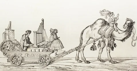 Urkuri Paul Hoffaner soittamassa kamelin piirtämissä vaunuissa, n. 1880 (kaiverrus)