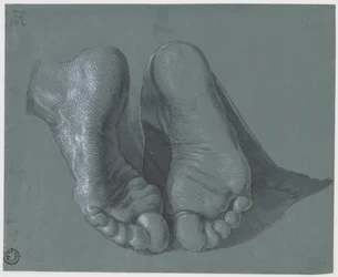 Tutkimus kahdesta jalasta, n. 1508