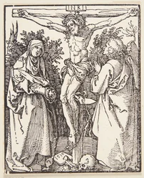 Ristiinnaulitseminen