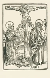 Ristiinnaulitseminen