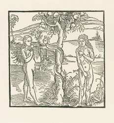 Putoaminen. Kuvitus teokseen " Der Ritter von Turn " , noin 1493-93 (puupiirros).