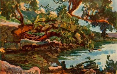 Nemijärvi, 1830-luku 1965.