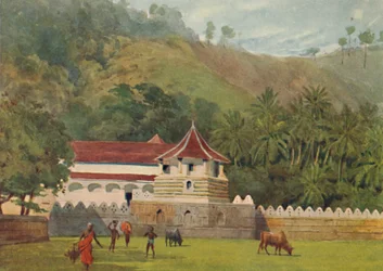 Hampaan temppeli, Kandy - Ulkopuoli, n. 1880 1905.