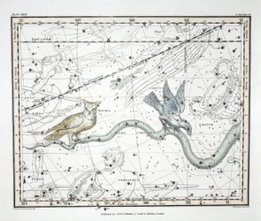 Constellations (levy XXVII) Hydra Continua, Crater, Covus, Centaurus et Lupus, Alexander Jamiesonin kirjasta "A Celestial Atlas", pubi. Lontoo 1822 (käsinvärinen kaiverrus)