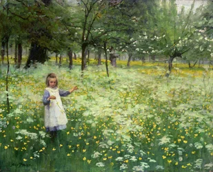 Hopean ja kullan poimiminen, 1906