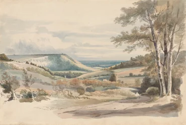 Boxhill West Humble Lanelta