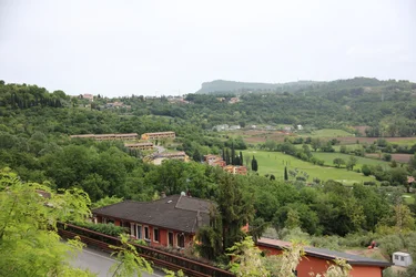 Maisema