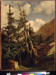 Firs in the mountains, Calame, Alexandre (1810-1864). Öljy kankaalle, Mitat: 68,5x53. Valtion A. Pushkinin kuvataidemuseo, Moskova