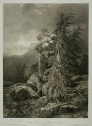 Nimetön