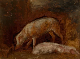 Sikojen tutkimus, 185060.