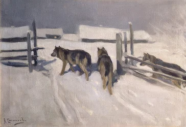 Sudet. Talvi yö. Noin 1910
