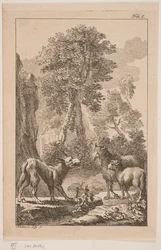 Susi, lammas ja lammas