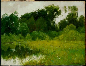 Sateen jälkeen Minnehaha Creekillä