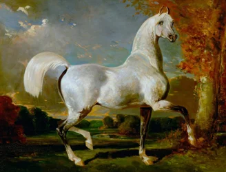 Arabian Standard