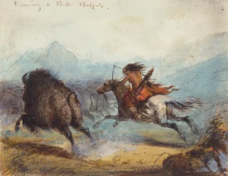 Intialainen nainen juoksee puhvelia, n. 1858-60 (akvarelli paperille)