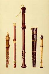 Kaksoisflageoletti, saksalainen huilu, bassonokkahuilu, kaksoisflageoletti ja nokkahuilu, teoksesta "Musical Instruments"