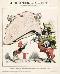 The Charge (1870), numero 6, värillinen satiirinen
