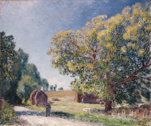 Metsäaukio, 1895