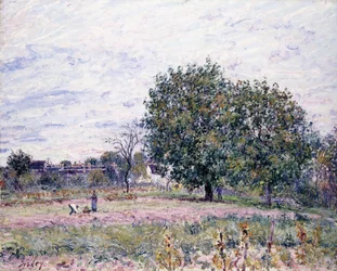 Pähkinäpuut, Laskevan auringon vaikutus - Lokakuun ensimmäinen päivä, 1882