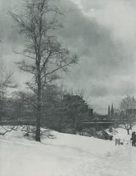 Talvinen taivas – Central Park