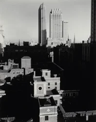 New York Sheltonista katsottuna