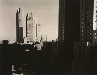 New York Sheltonista nähtynä