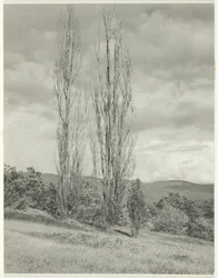 Poppelit – Lake George, 1935.