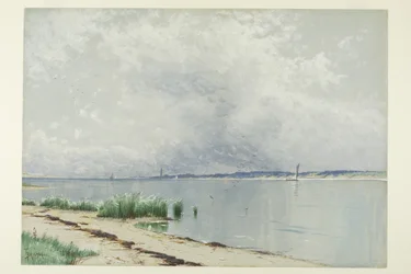 Heijastunut Reeds