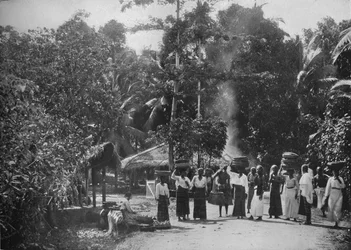 Viidakkokylä, 1890, 1910