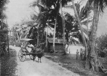 Tie Kelaniya-joen vieressä, n. 1890, 1910