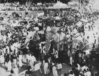 Pyhä norsu Perahera-kulkueessa, Kandy, Ceylon, c1890, 1910