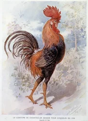 Chantecler-kuko-asu, joka on suunniteltu Constant Poppylle vuonna 1908, Edmond Rostandin säkeistö