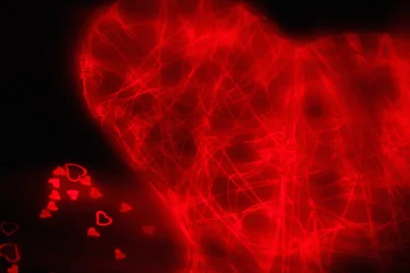 Tangled Heart, sarjasta Hearts, 2016 (valokuva)