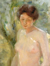 Auringonvalossa n. 1910.