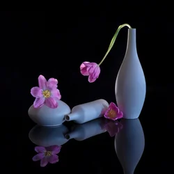 Heijastuneet violetit tulppaanit